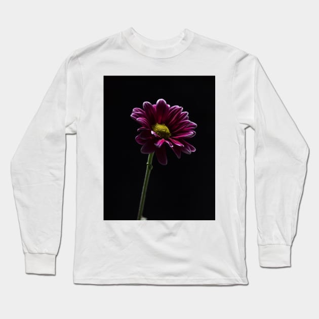 Daisy Flower Profile Long Sleeve T-Shirt by Robert Alsop